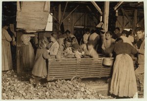 Bill May, de 5 años que gana 15 centavos al día, en el cobertizo de descascarado en Barataria Canning Company, Biloxi, Mississippi, 1911 de Lewis Wickes Hine