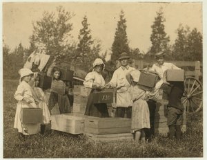 Niños llevando sus cestas de arándanos al hombre del celemín en el pantano de Theodore Budd, Turkeytown cerca de Pemberton, Nueva Jersey, 1910 de Lewis Wickes Hine