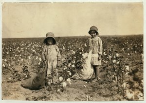 Jewel y Harold Walker, de 6 y 5 años, recogen 20 a 25 libras de algodón al día en Geronimo, Condado de Comanche, Oklahoma, 1916 de Lewis Wickes Hine
