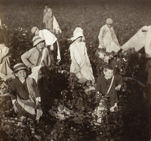  de Lewis Wickes Hine