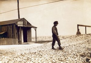 Uno de los jóvenes peladores de ostras, Pass Christian, Misisipi, febrero de 1911 (foto sepia) de Lewis Wickes Hine
