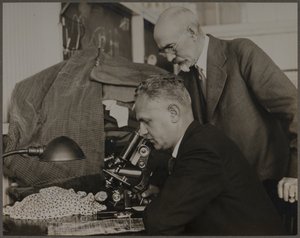  de Lewis Wickes Hine