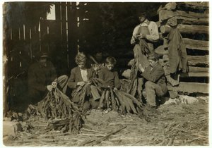 Hijos de J.H. Burch de 12, 14 y 17 años deshojando tabaco durante las horas escolares en el condado de Warren, Rockfield, Kentucky, 1916 de Lewis Wickes Hine