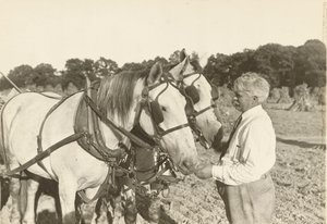 Sin título, ca. 1935 de Lewis Wickes Hine