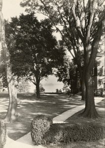 Sin título, ca. 1935 de Lewis Wickes Hine
