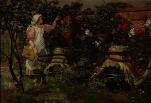 Niña y Colmenas