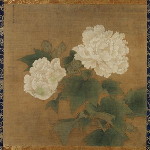 Hibiscos blancos de Li Di