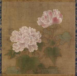 Rosas de algodón rojas y blancas de Li Di Unknown – Creator