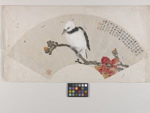 Pájaro e hibisco