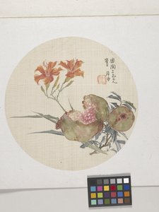 Granada y lirio de día, hacia 1850-1904 (tinta y colores sobre papel) de Lian Ju
