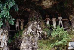 Nichos funerarios con figuras mortuorias Tau Tau, aldea Marrante, isla de Sulawesi, Indonesia de Unbekannt Unbekannt