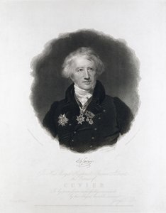 Georges Cuvier, anatomista francés