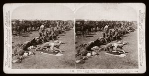 Guerra de los Bóers (Sudáfrica) de Unbekannt Unbekannt