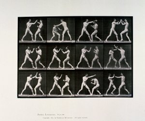 Atletas masculinos desnudos boxeando, c 1872-1885 de Unbekannt Unbekannt