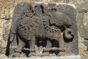 Relieve que representa un elefante, fuerte de Daulatabad (Devagiri), Maharashtra, India