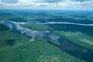 Venezuela, Guayana, Estado Amazonas, río Orinoco, vista aérea