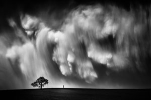 Un árbol solitario en un cielo espectacular