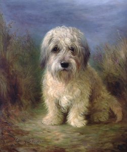 Dandie Dinmont Terrier (óleo sobre lienzo) de Lilian Cheviot