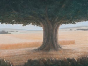 Árbol, Holwell, 2012