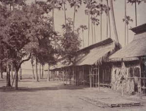 Amerapoora: Barracas de la Guardia Birmana de Linnaeus Tripe