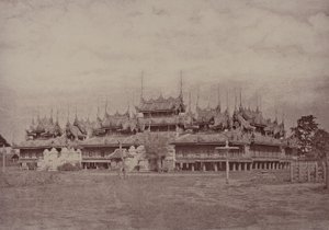 Amerapoora: Magwe Wundouk Kyoung de Linnaeus Tripe