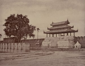 Amerapoora: Puerta Ooh-nein de la Ciudad de Linnaeus Tripe