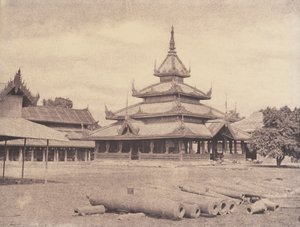 Amerapoora: Palacio del Elefante Blanco de Linnaeus Tripe