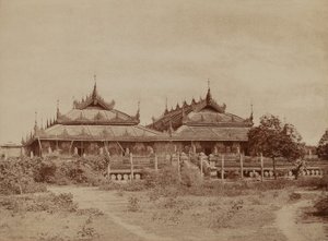 Amerapoora: Pyee-dyk Kyoung de Linnaeus Tripe