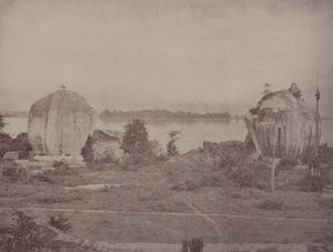 Mengoon: Grifos en Ruinas de Linnaeus Tripe