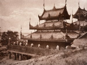No. 8. Ye-nan-gyoung [Yenangyaung]. Kyoung. de Linnaeus Tripe