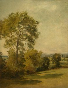 Árbol en un paisaje de Lionel Constable