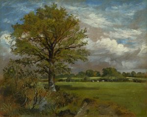 Árbol en un prado, c.1850 de Lionel Constable
