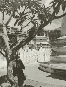 Niño en el Maligawa (foto en blanco y negro) de Lionel Wendt