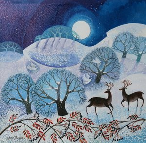 Tierra nevada, 2017 de Lisa Graa Jensen