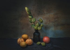  de Liu Xing