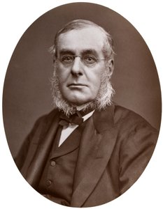 Almirante Sir Richard Collinson, KCB, FRGS, Sub-Maestro de Trinity House, 1877 de Lock and Whitfield