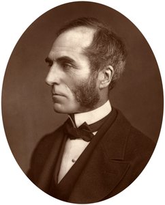 Goldwin Smith, Profesor, 1878 de Lock and Whitfield