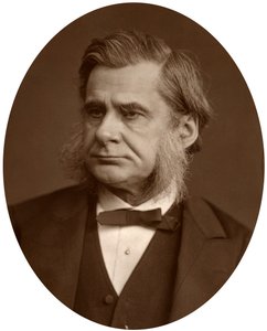 Profesor Thomas Henry Huxley, 1880 de Lock and Whitfield