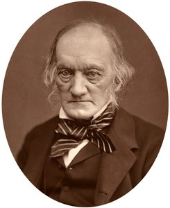 Richard Owen de Lock and Whitfield