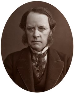 El Honorable Lyon Playfair, CB, LLD, FRS, químico y político escocés, 1877 de Lock and Whitfield