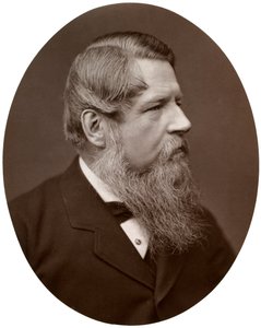 El Honorable Sir Stafford Henry Northcote, Bart, MP, Canciller del Exchequer, 1877 de Lock and Whitfield
