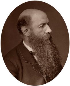 Sir Wilfrid Lawson, político, MP por Carlisle, 1882 de Lock and Whitfield
