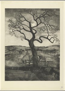 Caballo en un prado cerca de Etikhove
Vieux cheval en reposo (título original) de Lodewijk Schelfhout (signed by artist)