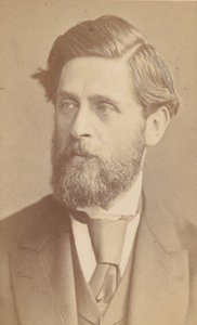 [Ludwig Johann Passini], después de 1867