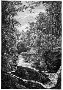 Arroyo de montaña con rocas y cascada en medio de un bosque. Dibujo de Leon Benett gravado por Meaulle para la edición Hetzel del libro de Elysee (Elisee) Reclus (1830-1905) "Histoire d