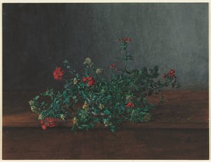 Still Life with Wild Flowers de Léon Bonvin