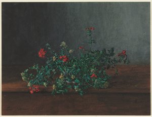 Naturaleza muerta con flores silvestres, 1864 de Léon Bonvin