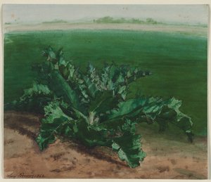 Study of a Plant, Possibly Thistle de Léon Bonvin
