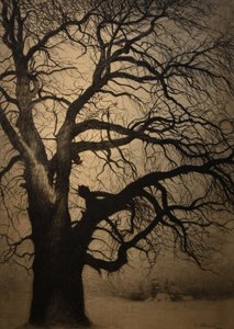 Léon Spilliaert (1881-1946) Árbol en invierno Brafa 2019 31-01-2019 de Leon Spilliaert