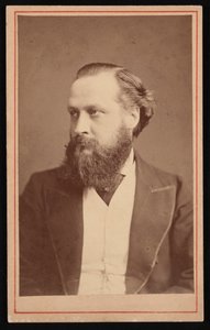Retrato del Dr. Henry Maudsley 1835-1918, entre 1873 y 1876 de London Stereoscopic and Photographic Co